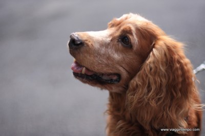 20140501 - Nizza 049