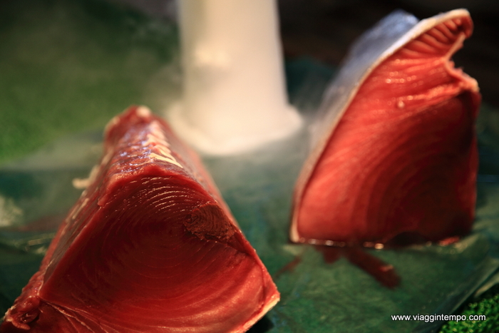 10 - Tokyo-1383 fish