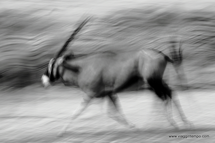 01210 - EtoOrici - 0983