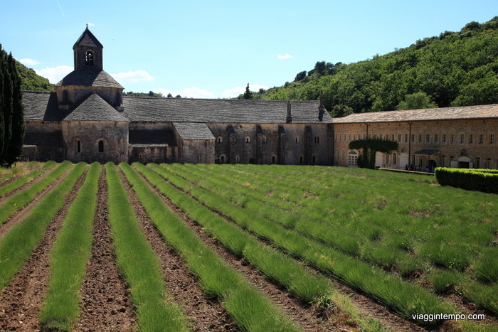 IMG_7606_Provenza_201506