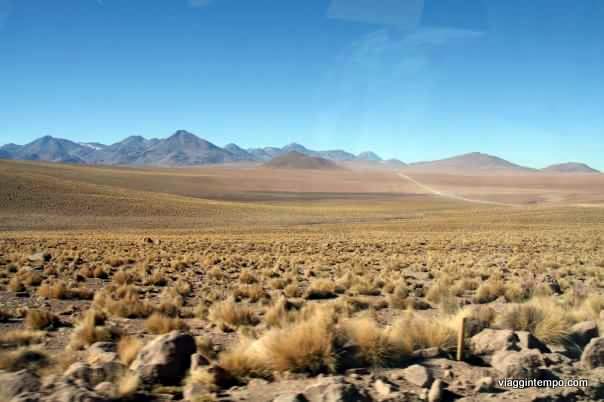 FB_IMG_1460274987440