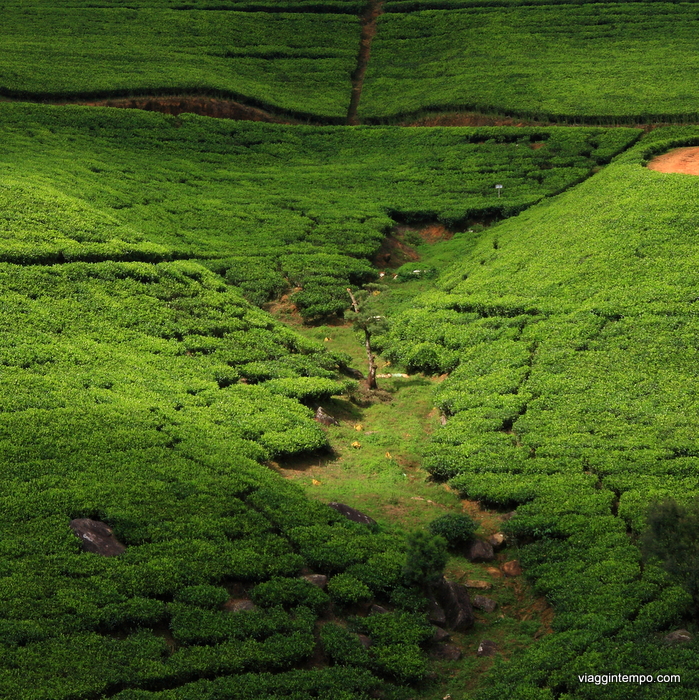 07 - NewaraElija 188