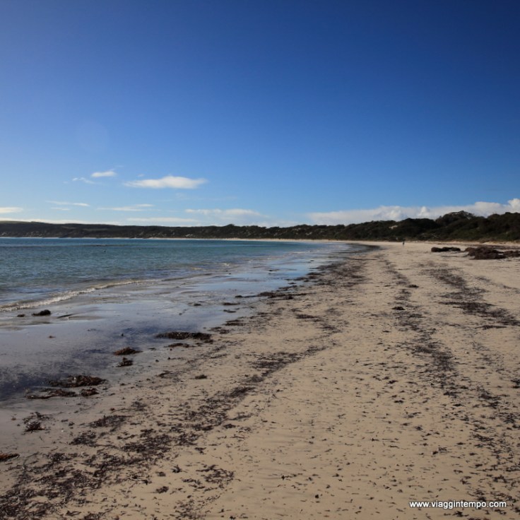 Kangaroo Island 10