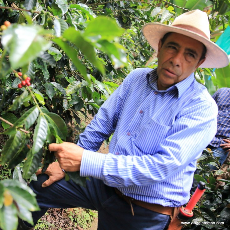 Finca Cafetera (4)